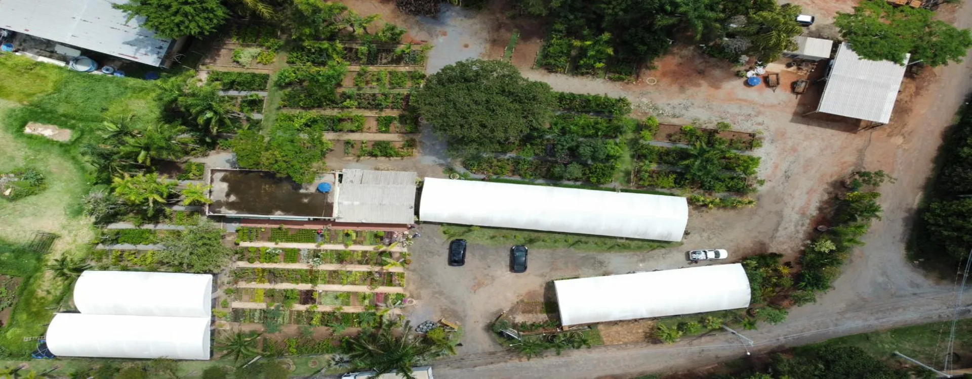 Área de cultivo e estufas da Flora CRM