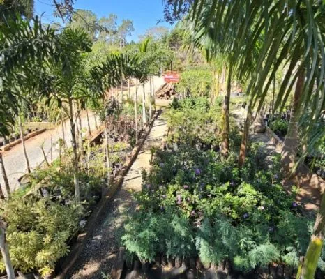 Canteiros de plantas ornamentais