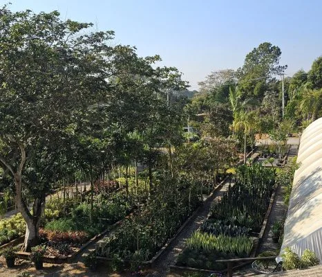 Vista aérea do garden center